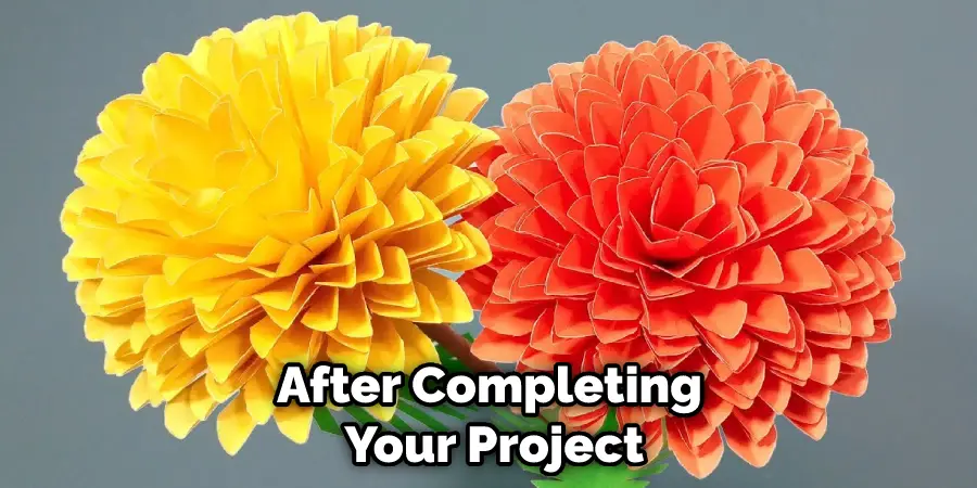 After Completing Your Project