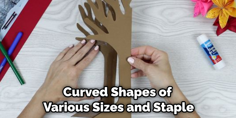 Curved Shapes of Various Sizes and Staple