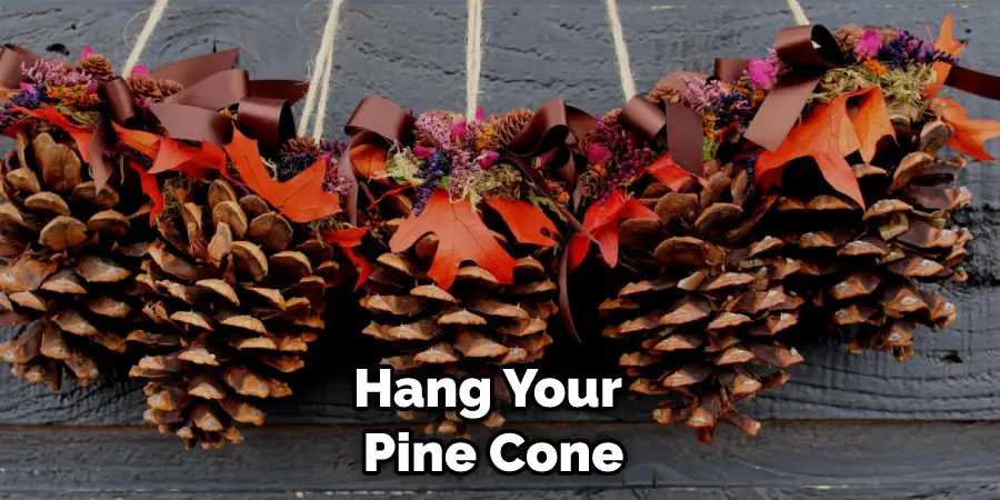 Hang Your Pine Cone