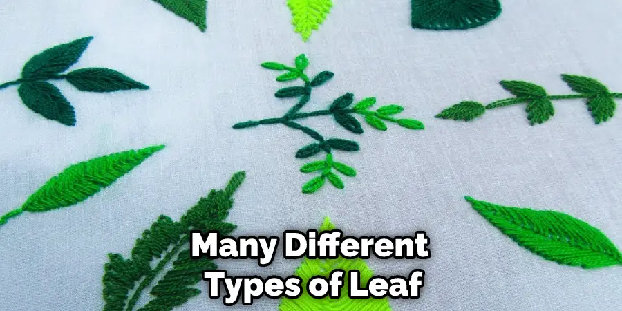 Many Different Types of Leaf