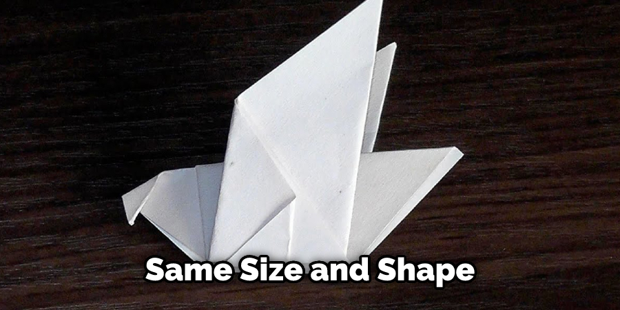 Same Size and Shape