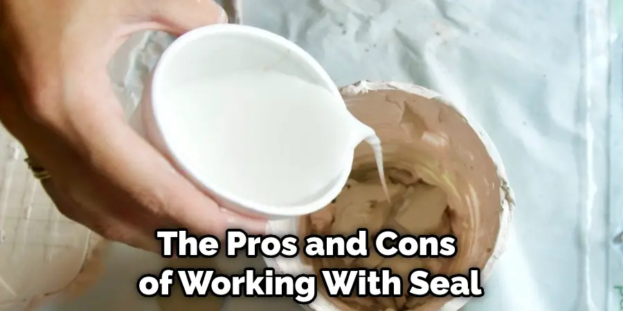 The Pros and Cons of Working With Seal