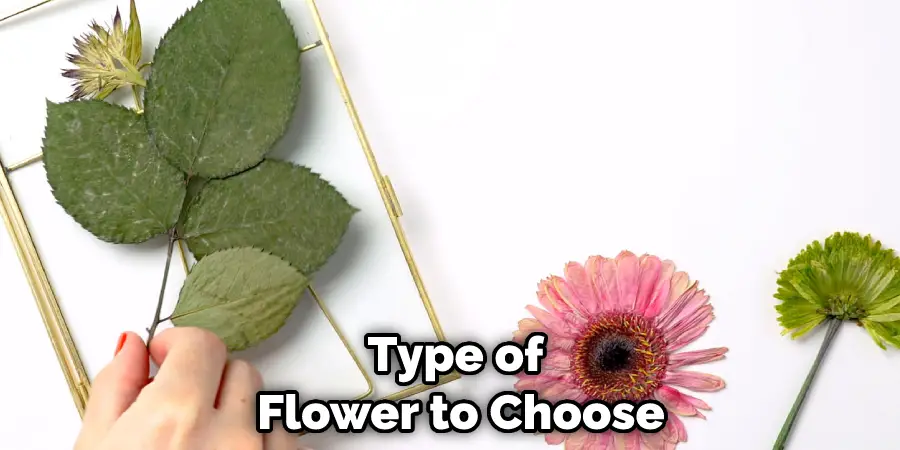 Type of Flower to Choose