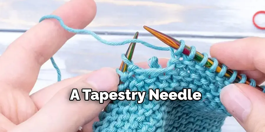  a Tapestry Needle