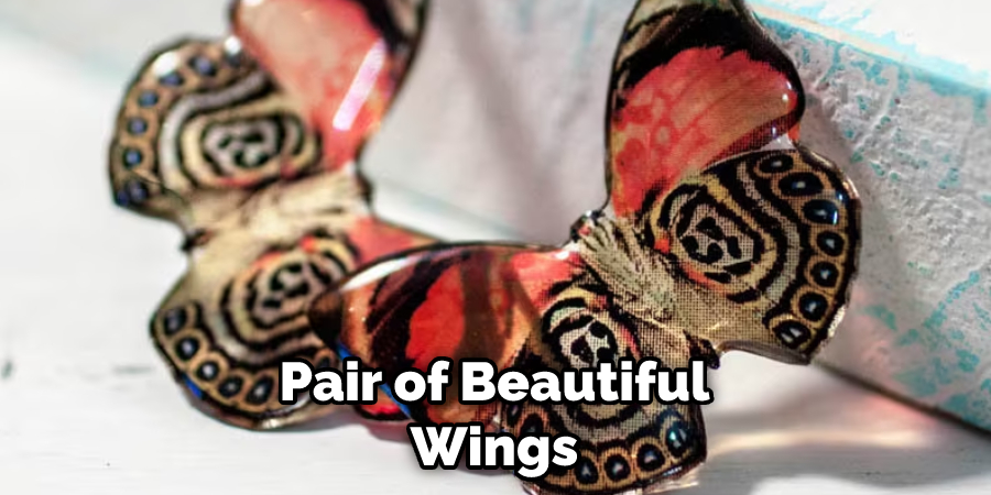 Pair of Beautiful Wings