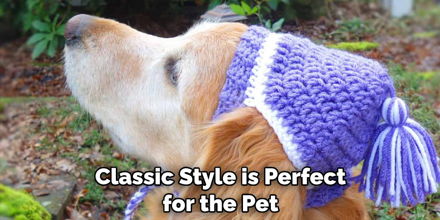Classic Style is Perfect for the Pet