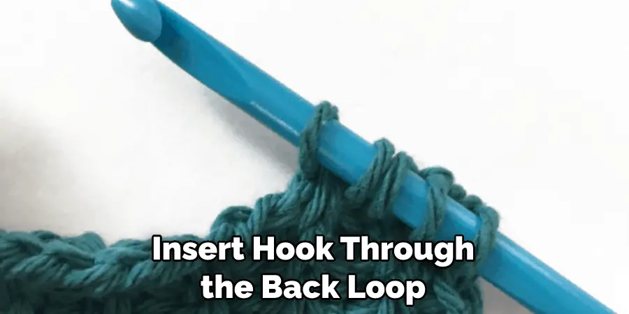 Insert Hook Through the Back Loop