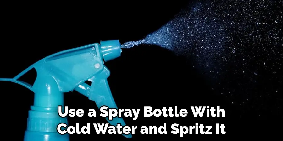 Use a Spray Bottle With Cold Water and Spritz It