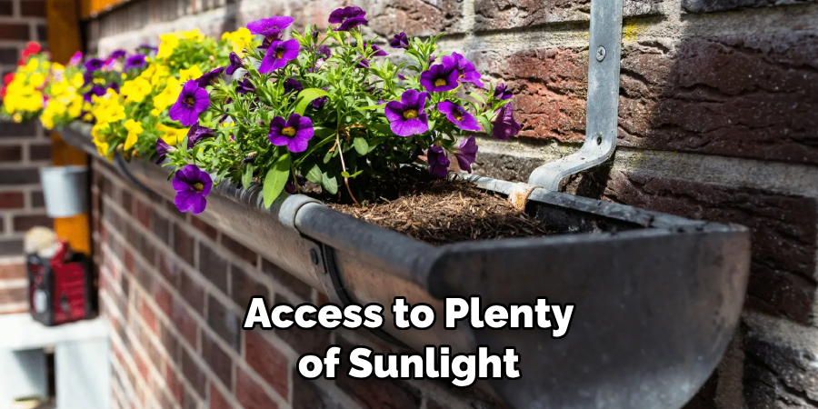 Access to Plenty of Sunlight