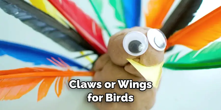 Claws or Wings for Birds