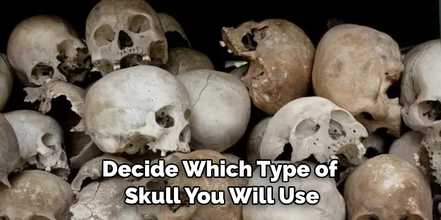 Decide Which Type of Skull You Will Use