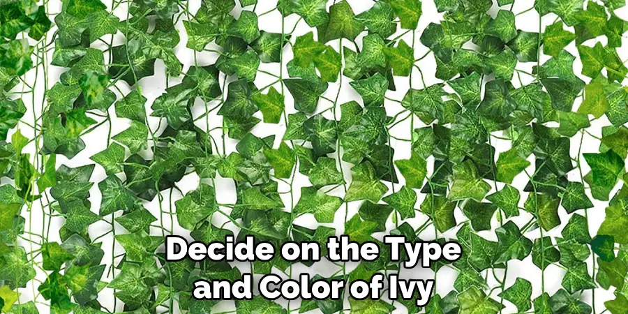 Decide on the Type and Color of Ivy