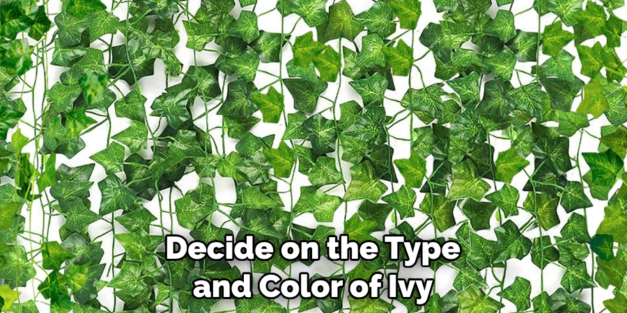 Decide on the Type and Color of Ivy