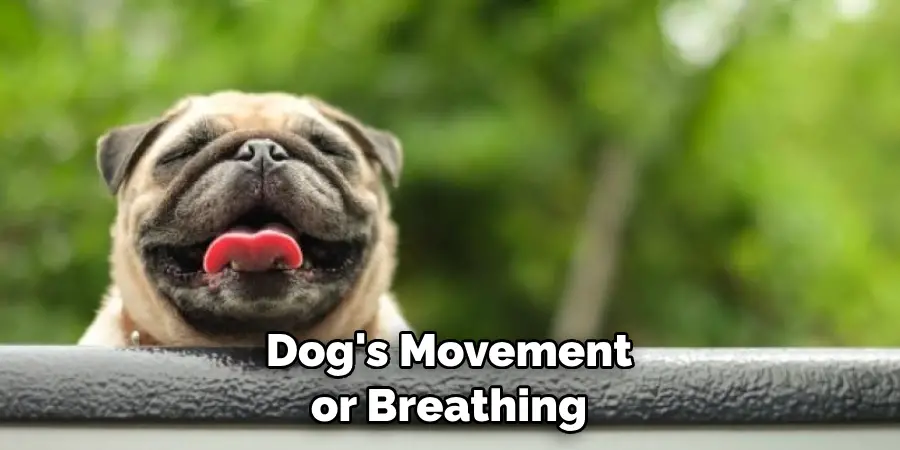 Dog's Movement or Breathing