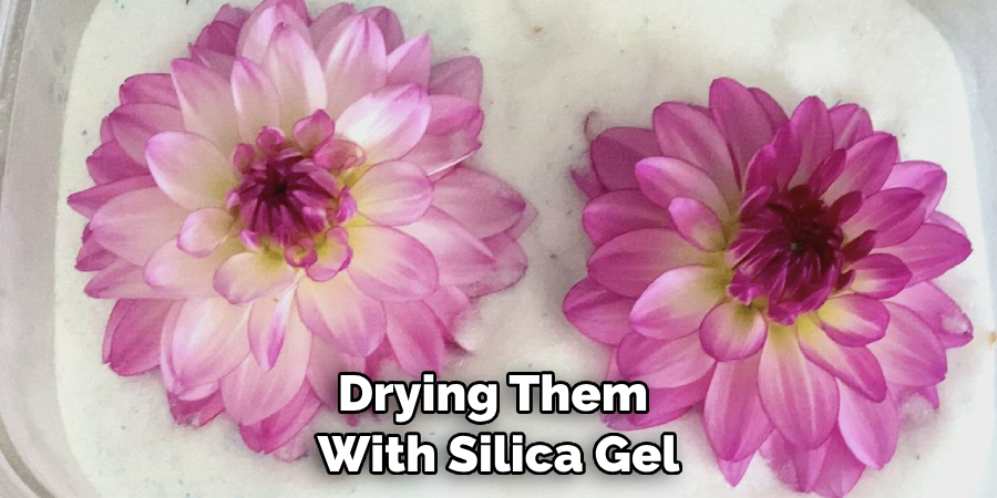 Drying Them With Silica Gel