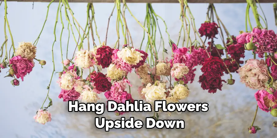 Hang Dahlia Flowers Upside Down
