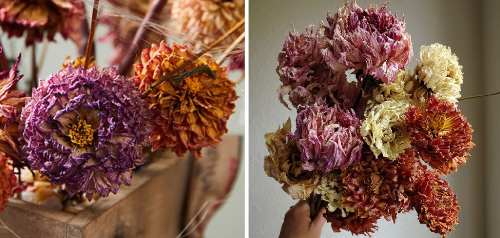 How to Dry Dahlia Flowers