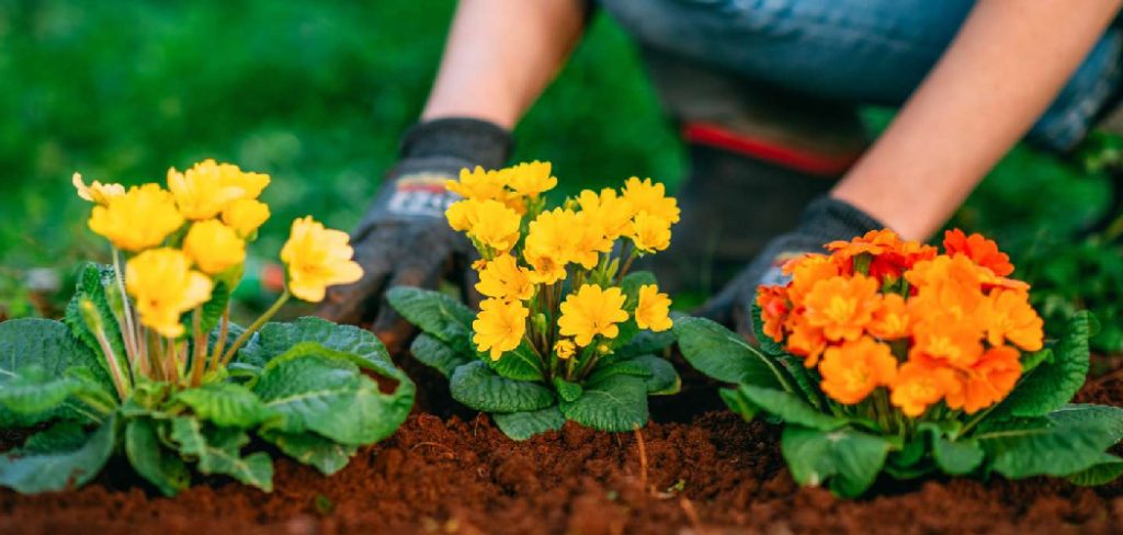 How to Make Garden Flowers