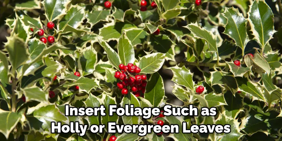 Insert Foliage Such as Holly or Evergreen Leaves