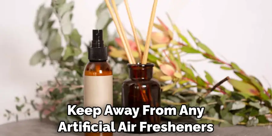 Keep Away From Any Artificial Air Fresheners