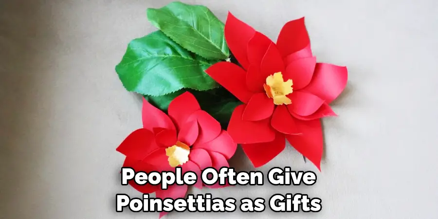 People Often Give Poinsettias as Gifts