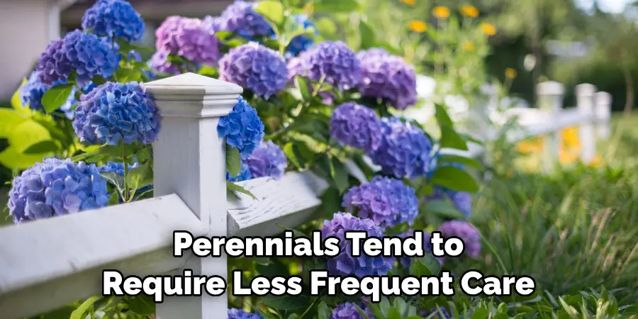 Perennials Tend to Require Less Frequent Care