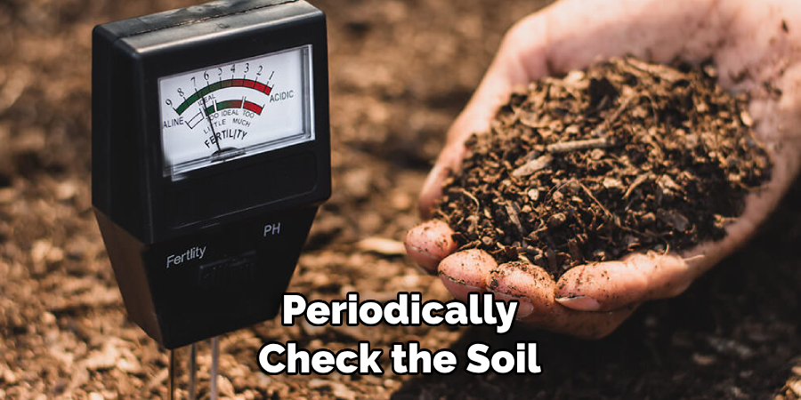 Periodically Check the Soil