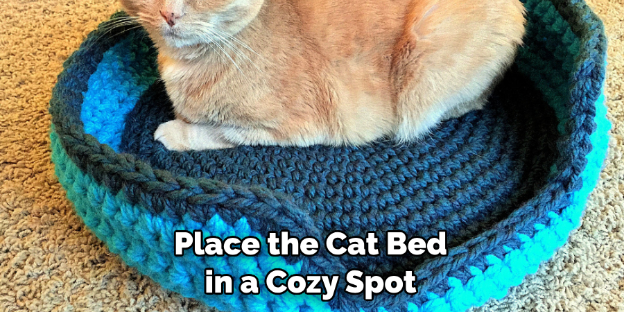 Place the Cat Bed in a Cozy Spot