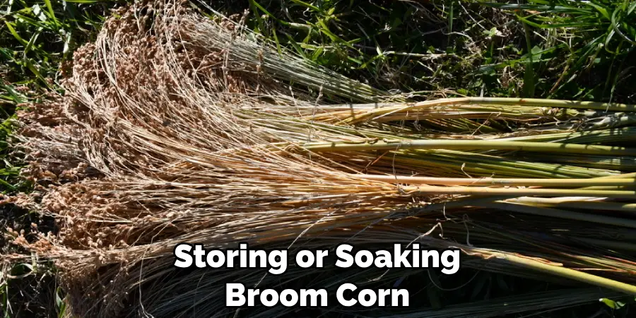 Storing or Soaking Broom Corn