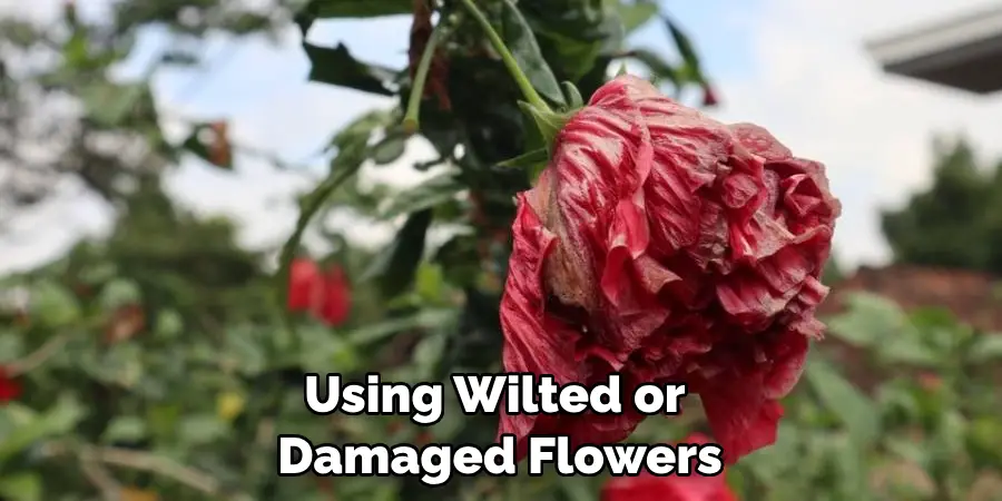 Using Wilted or Damaged Flowers