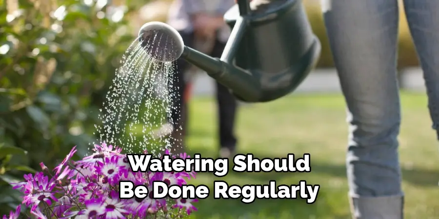 Watering Should Be Done Regularly