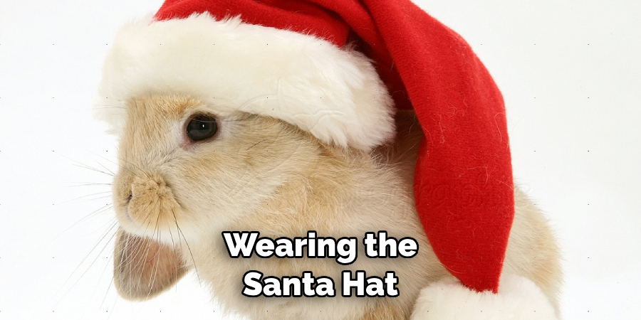 Wearing the Santa Hat