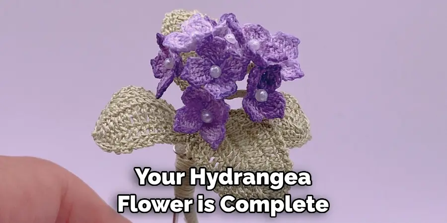 Your Hydrangea Flower is Complete