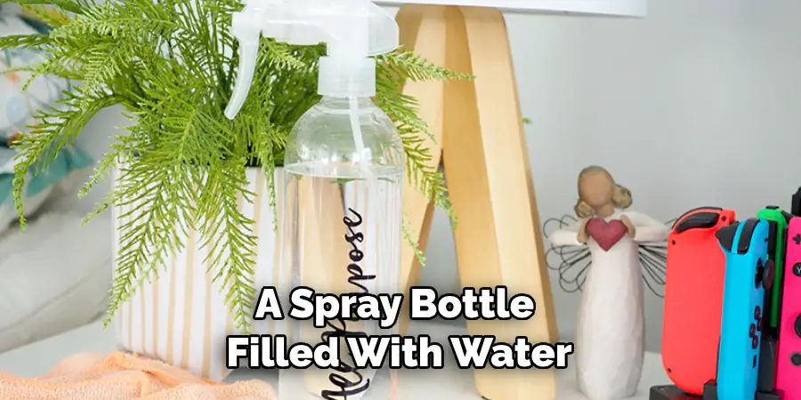 A Spray Bottle Filled With Water