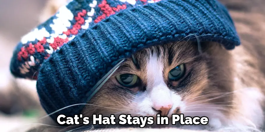 Cat's Hat Stays in Place