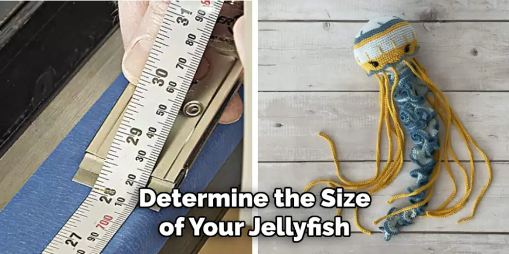 Determine the Size of Your Jellyfish