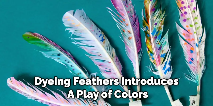 Dyeing Feathers Introduces a Play of Colors