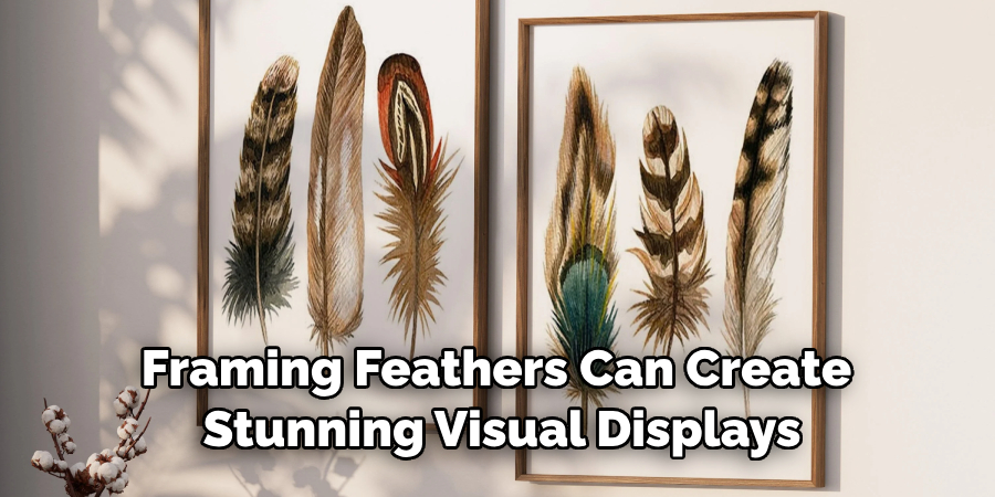 Framing Feathers Can Create Stunning Visual Displays