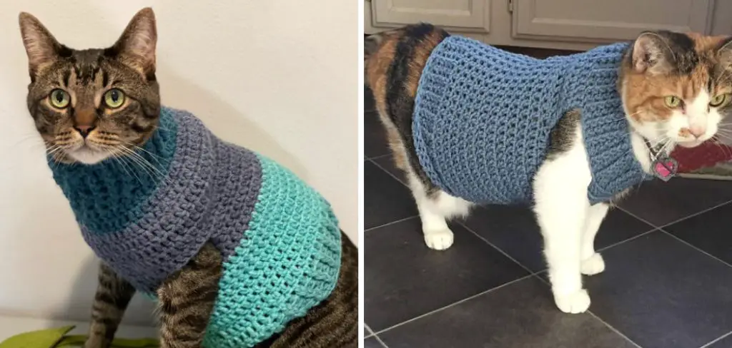 How to Knit a Cat Sweater