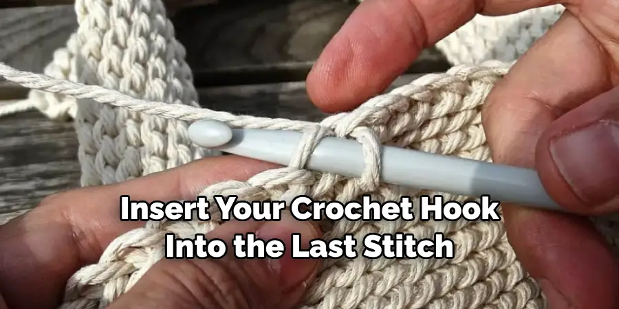 Insert Your Crochet Hook Into the Last Stitch