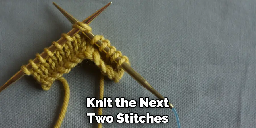 Knit the Next Two Stitches