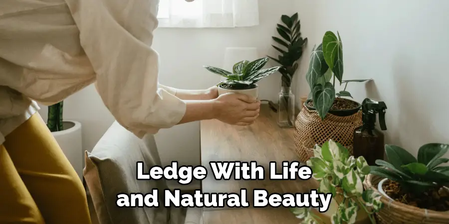 Ledge With Life and Natural Beauty