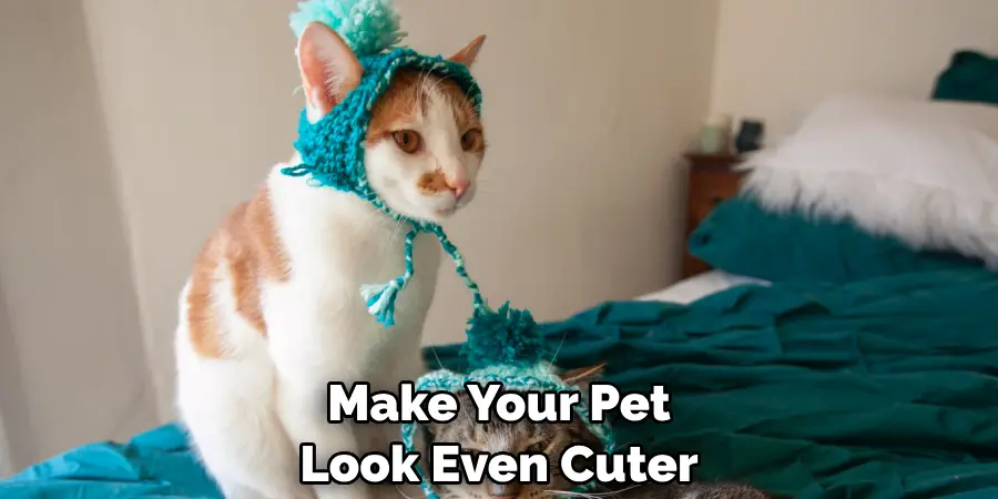 Make Your Pet Look Even Cuter