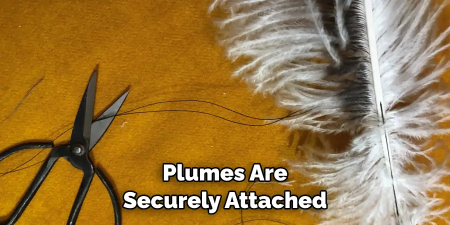 Plumes Are Securely Attached
