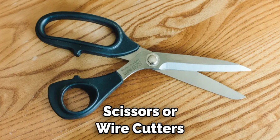 Scissors or Wire Cutters