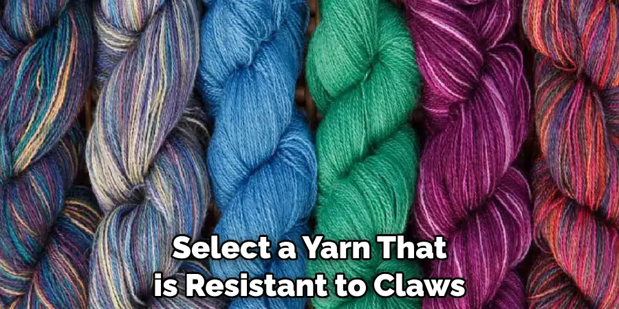 Select a Yarn That is Resistant to Claws