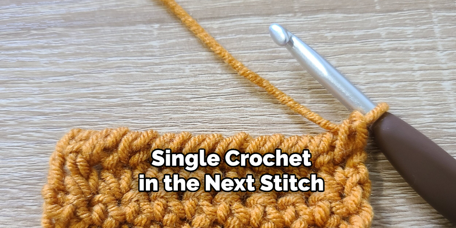 single crochet in the next stitch