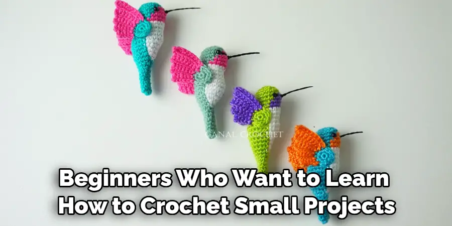 Beginners Who Want to Learn How to Crochet Small Projects