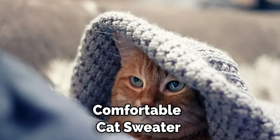 Comfortable Cat Sweater