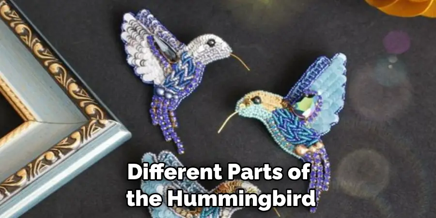 Different Parts of the Hummingbird
